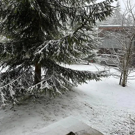 Large One Bedroom Flat - Mountain Bliss