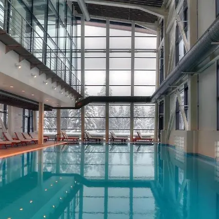 Large One Bedroom Flat - Mountain Bliss Apartment