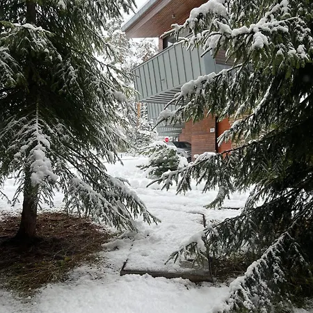 Apartment Large One Bedroom Flat - Mountain Bliss