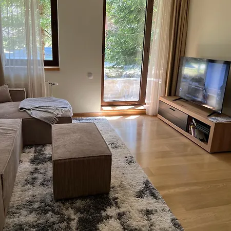 Large One Bedroom Flat - Mountain Bliss Apartment *