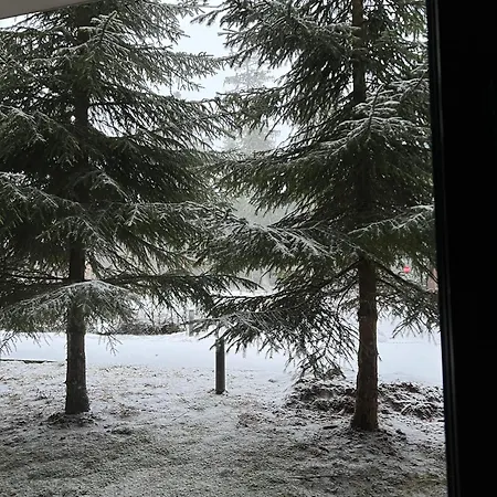 Apartment Large One Bedroom Flat - Mountain Bliss *