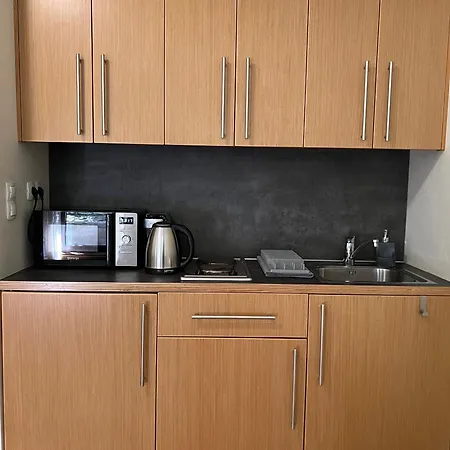 דירה Large One Bedroom Flat - Mountain Bliss בורובץ