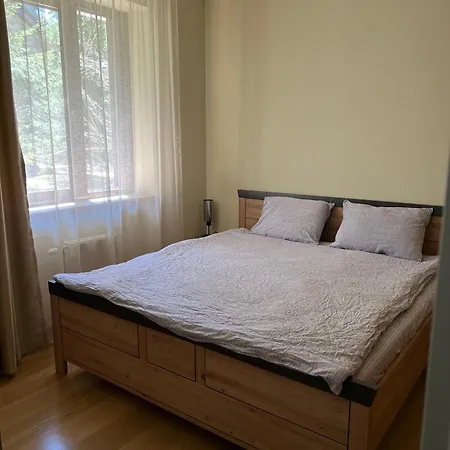 Large One Bedroom Flat - Mountain Bliss דירה