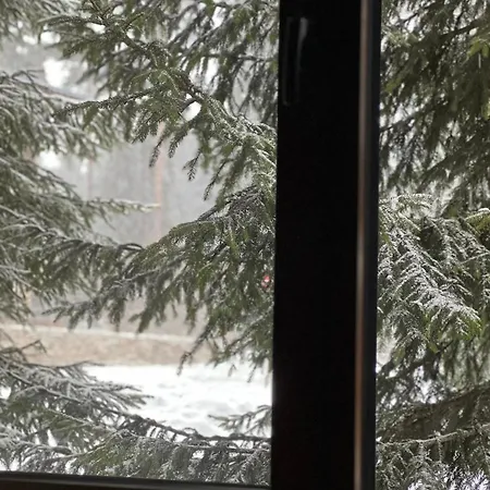 Large One Bedroom Flat - Mountain Bliss Apartment